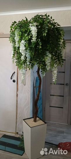 Искусственные растения