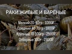 Живые отборные раки