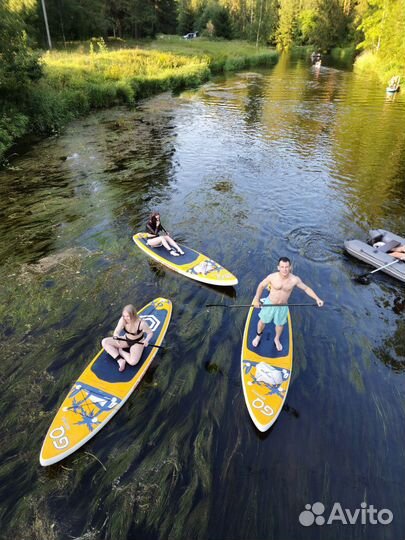 Аренда / сплав на сапах по Оредежу