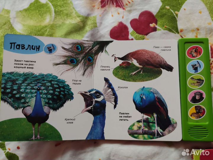 Развивающие игрушки