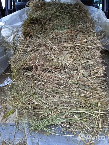 Сено и солома на подстилку собакам и не только