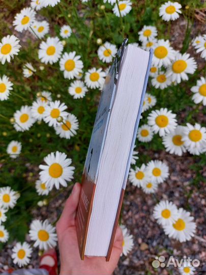 Книги Джоджо Мойес