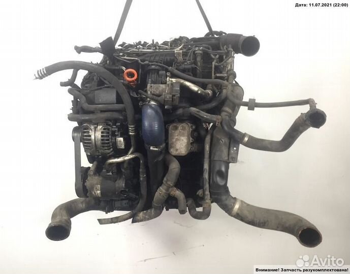 Двигатель VW Passat B6 1,6 TDI