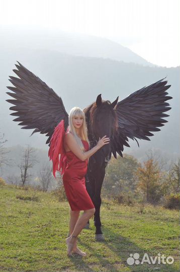 Крылья для коня, пони, лошади Амуниция