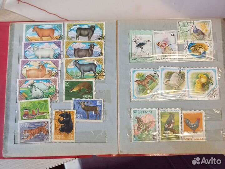 Марки в альбоме