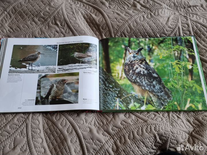 Путеводитель по Байкалу