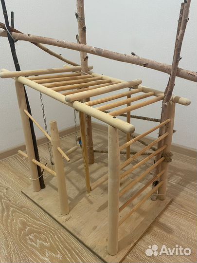 Стенд для птиц