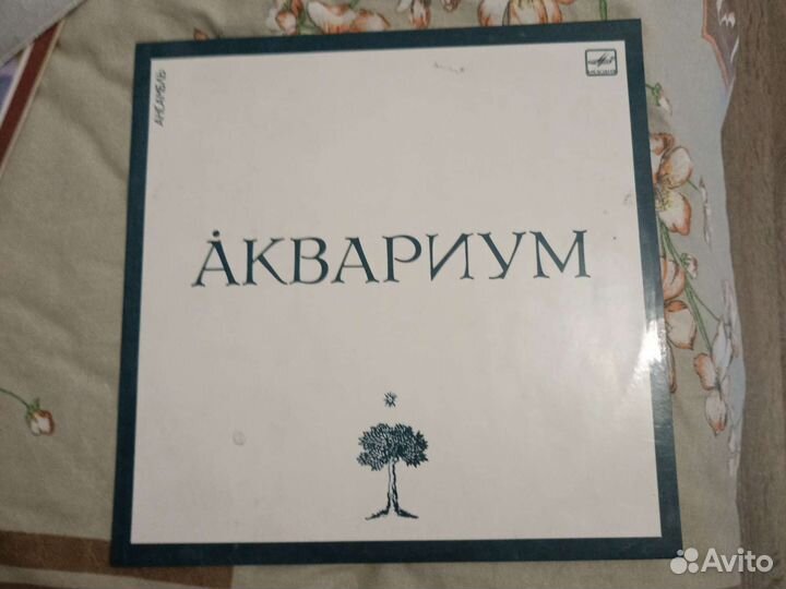 Виниловая пластинка, ансамбль аквариум