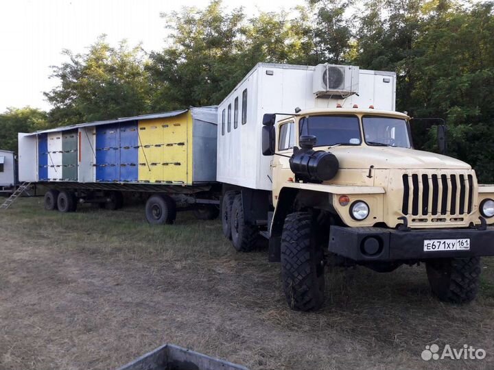 Свежий мёд 2023 г. с семейной пасеки