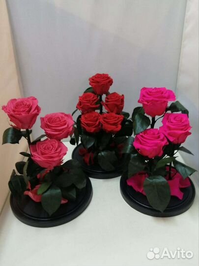 Цветы оптом