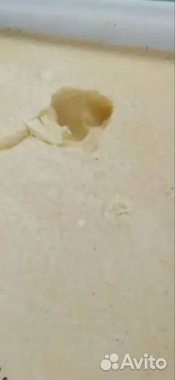 Аккураевый мед доставка по всей россии