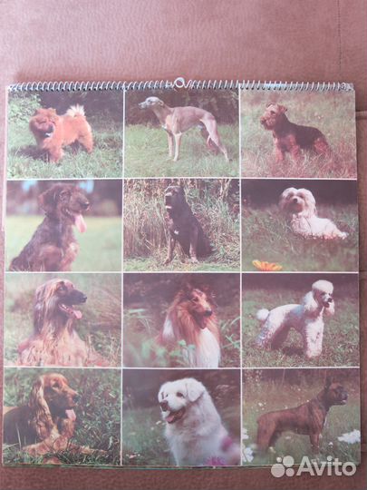 Календари, книги, фото и открытки с собаками, СССР