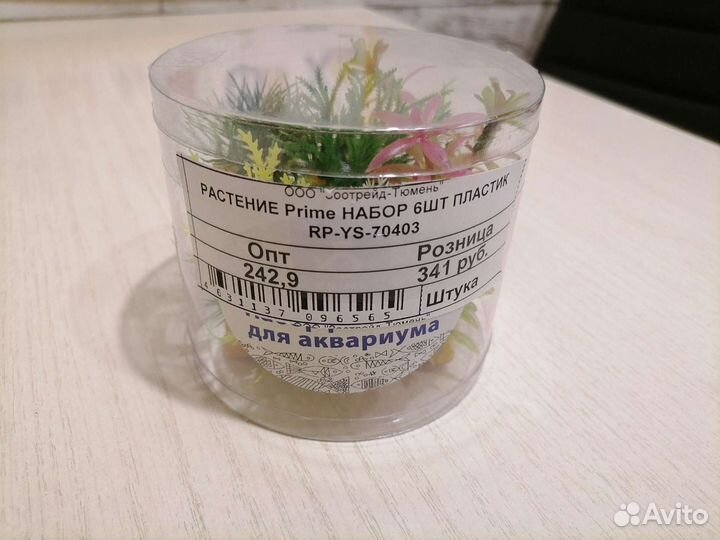 Растения для аквариума