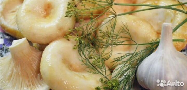 Грибы грузди соленые