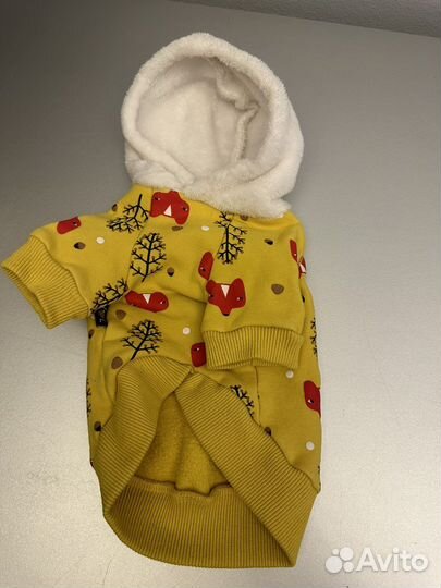 Одежда и обувь для маленькой собачки