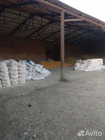 Корм, Отруби