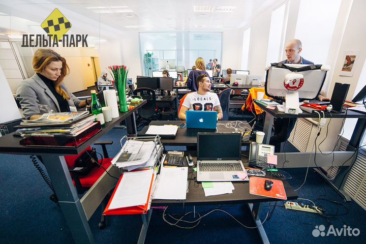 Представитель без опыта №244