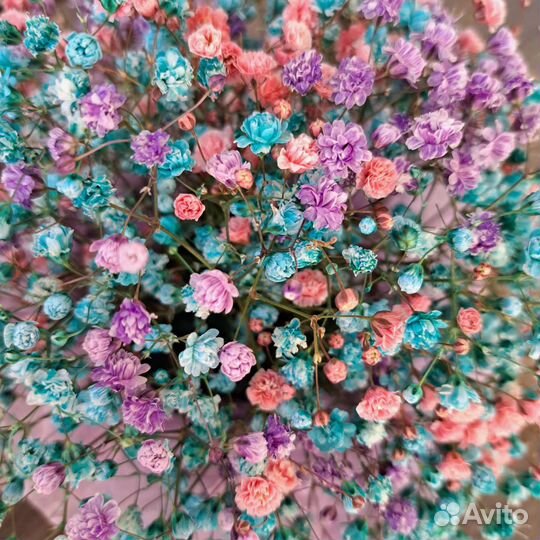 Коробочка с гипсофилой