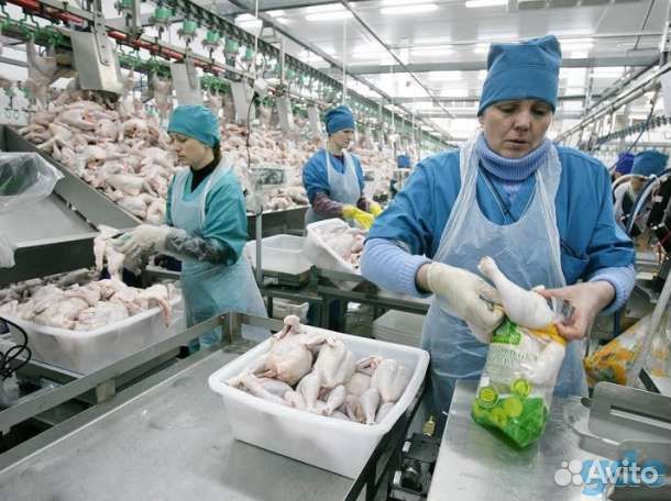 Вахта Рабочий фабрики + питание/жильё Белгород 35