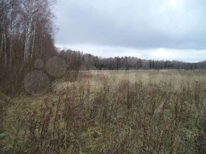 Участок 11 га (СНТ, ДНП)