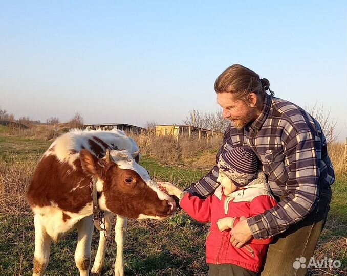 Экскурсия в родовое поместье