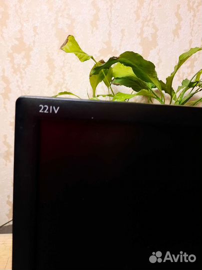 Монитор Philips