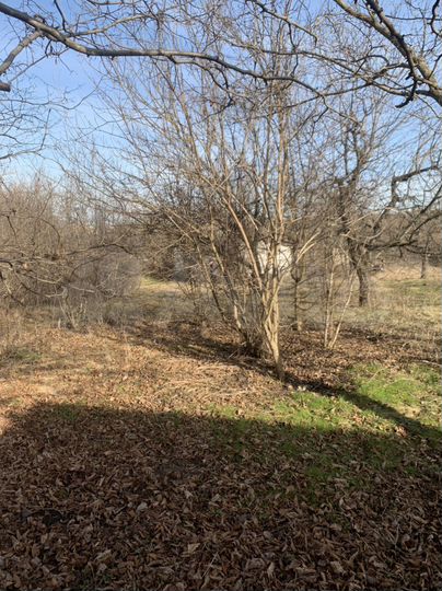 Участок 24 сот. (ИЖС)