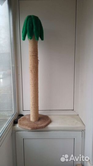 Когтеточка