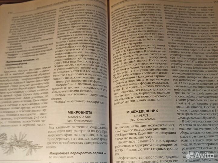 Е. Аксенов Декоративное садоводство в 2кн 2001