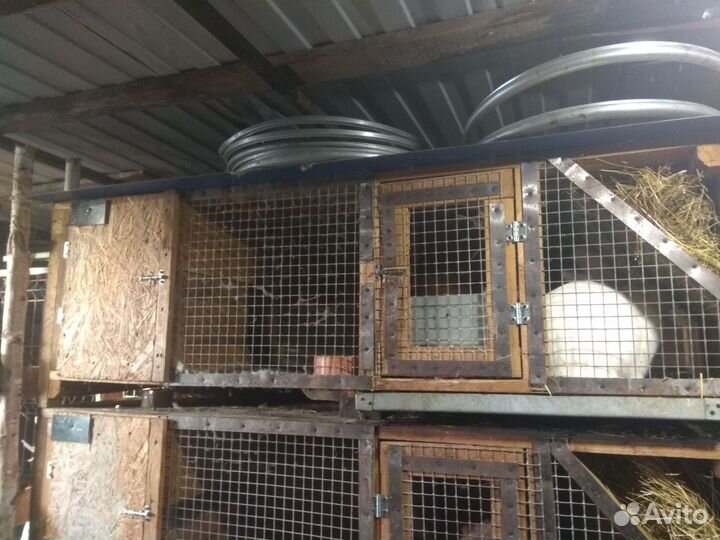 Продажа клеток для кроликов, грызунов, животных