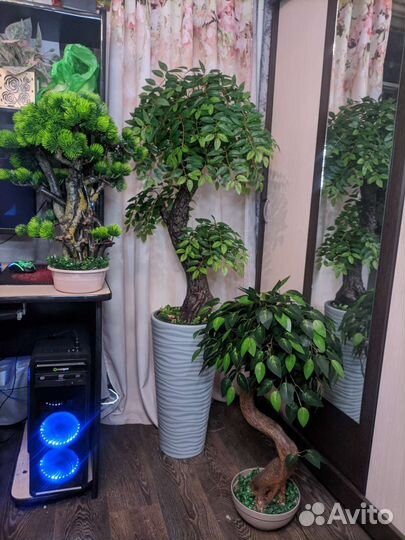 Бонсай искусственное дерево