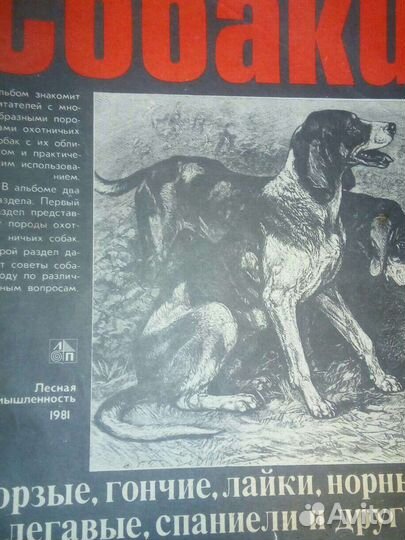 Книги охота редкие