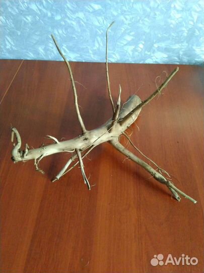 Коряги для аквариума подготовленные