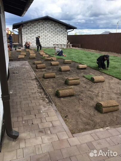 Рулонный газон