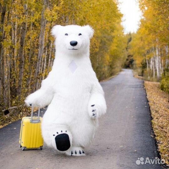 Поздравление от Белого Мишки, ростовая кукла