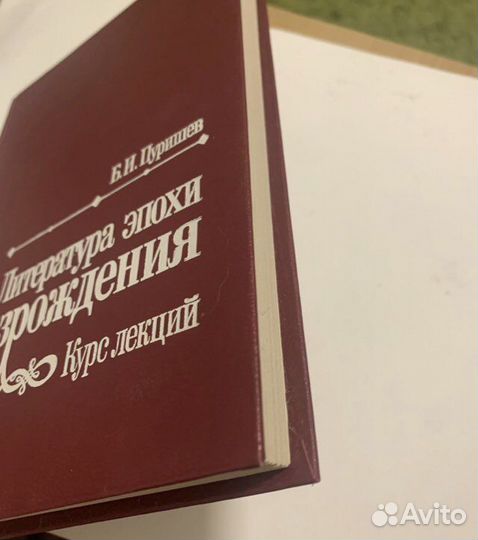 Пуришев Б.И. Литература эпохи Возрождения