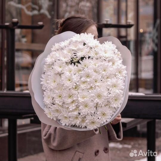 Цветы хризантемы и букеты с доставкой живые