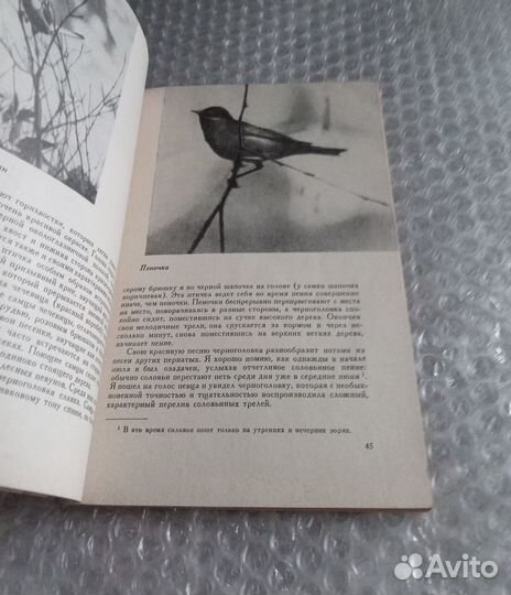 Жизнь леса 1962