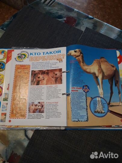 Детская энциклопедия