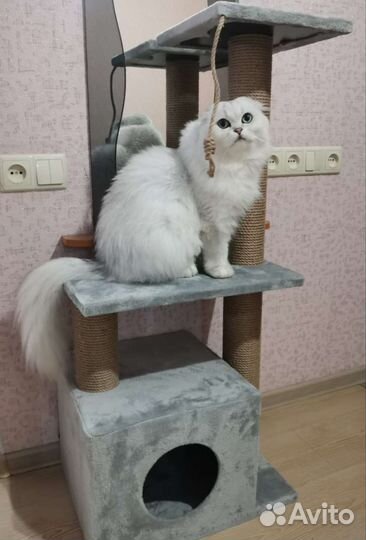 Когтеточка для кошек