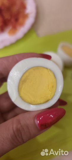 Домашние куриные яйца