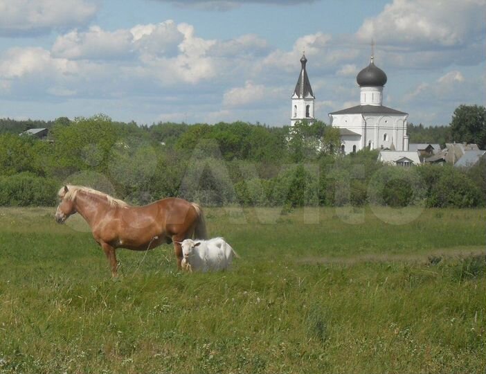 Участок 30 сот. (СНТ, ДНП)