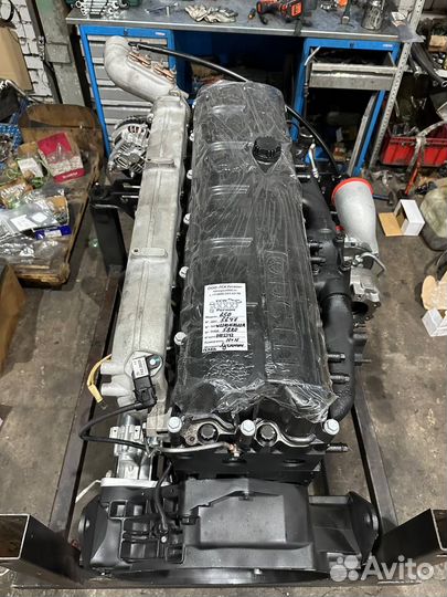 Ямз Двигатель 650 на Мазурика