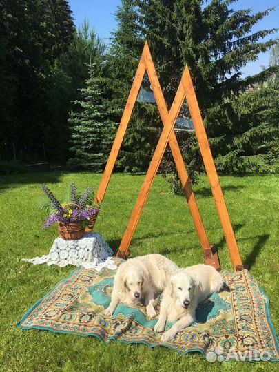 Свадебная арка