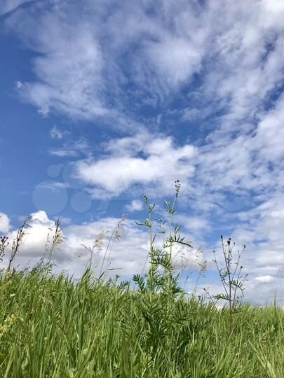 Участок 32 сот. (ИЖС)