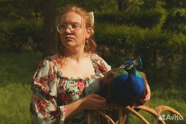 Фотосессия