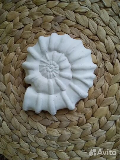 Морские ракушки, коньки из гипса для оформления ин