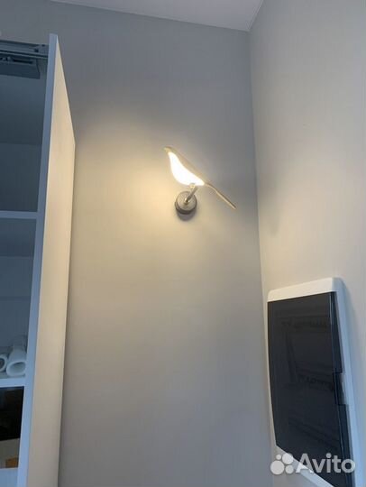 Светильник настенный новый птичка nomi