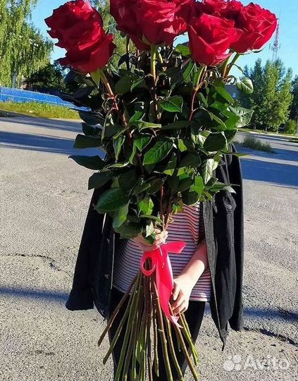 Розы Высокие 150см 160см 170см 180см 190см 2м