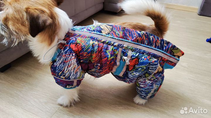 Одежда для собак мелких пород